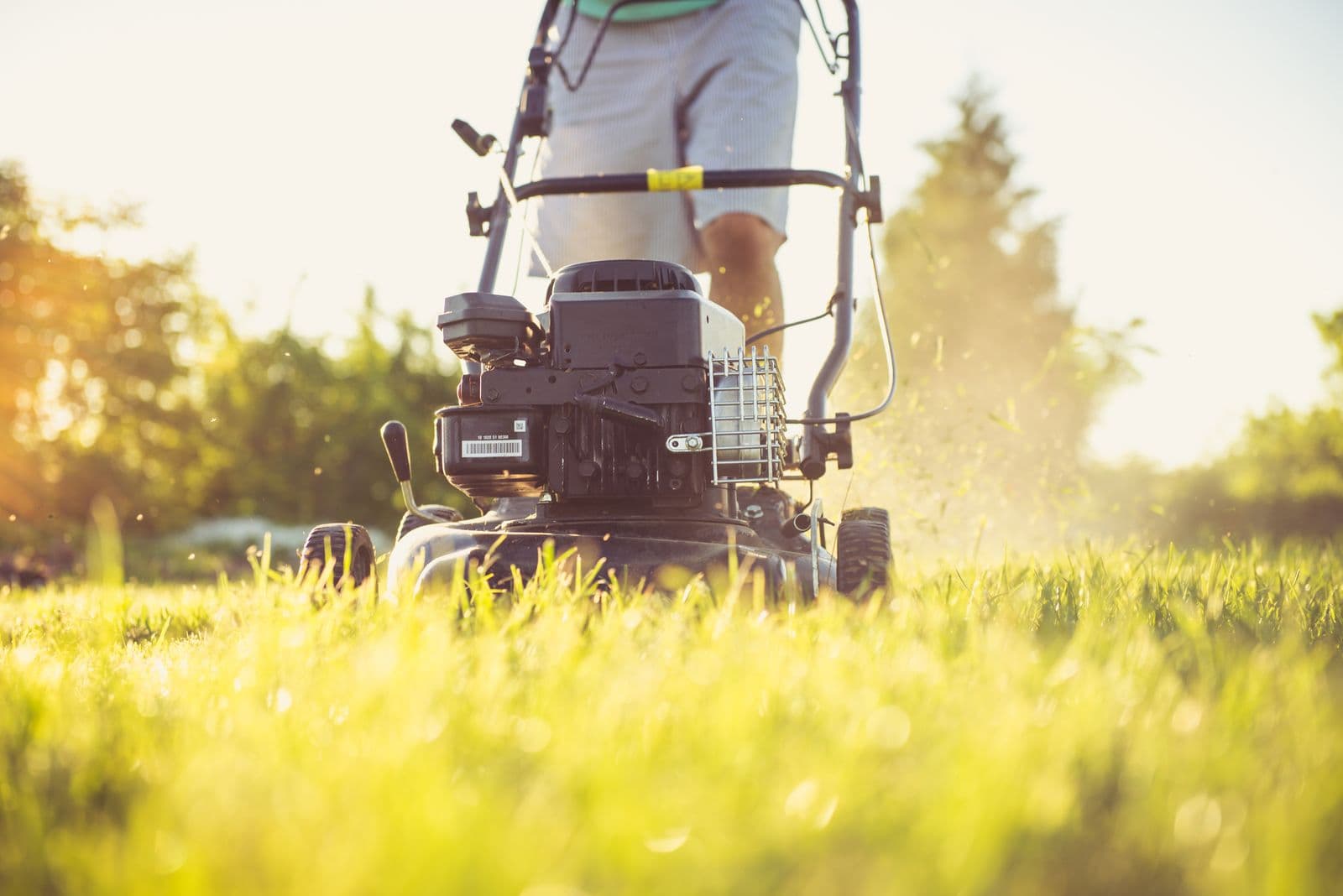 Mowing a sunlit lawn in Cleveland, Tennessee